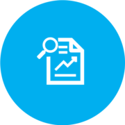 Detaile-Project-Report-Icon