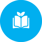 Environmental-Impact-Studies